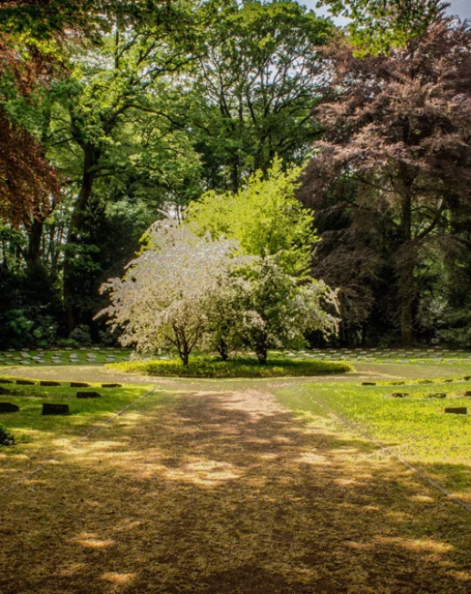 Image for Landscape Architecture
