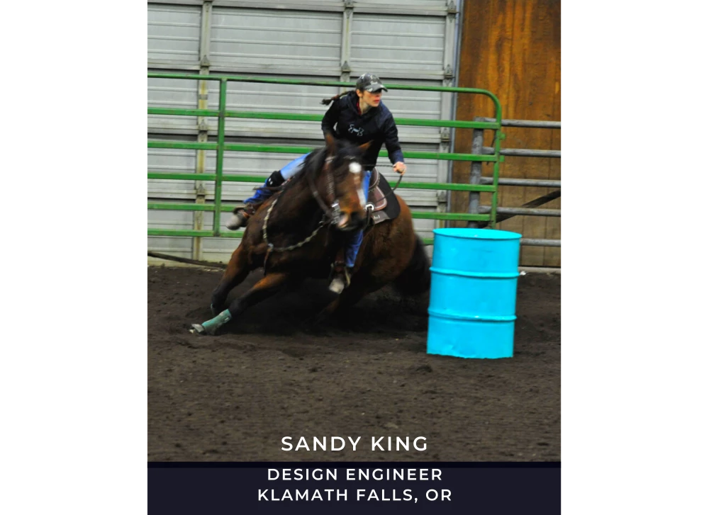 Image of Sandy King