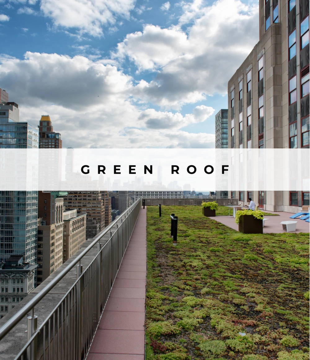 Image of Green Roof Systems