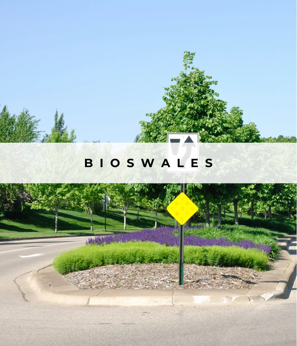 Image of Bioswales