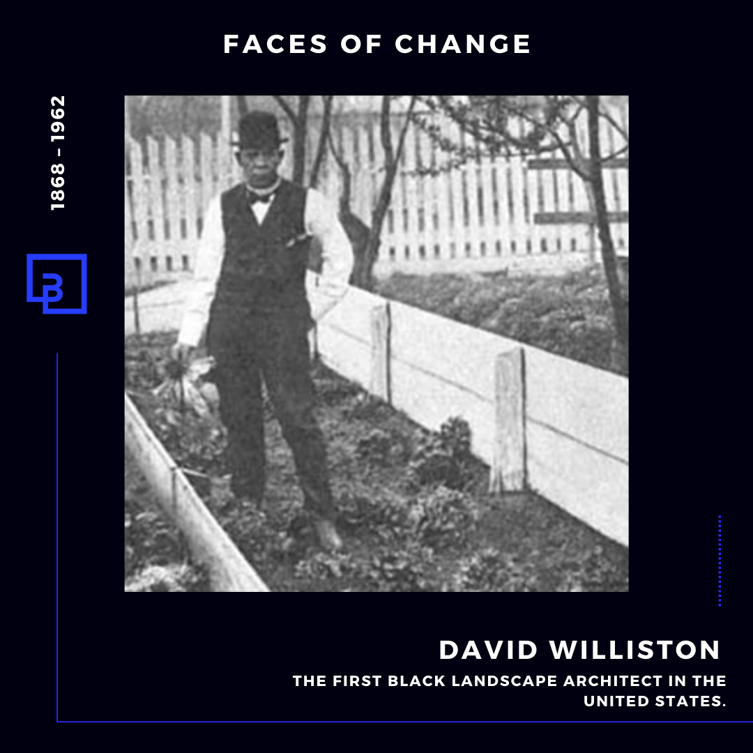 David Williston