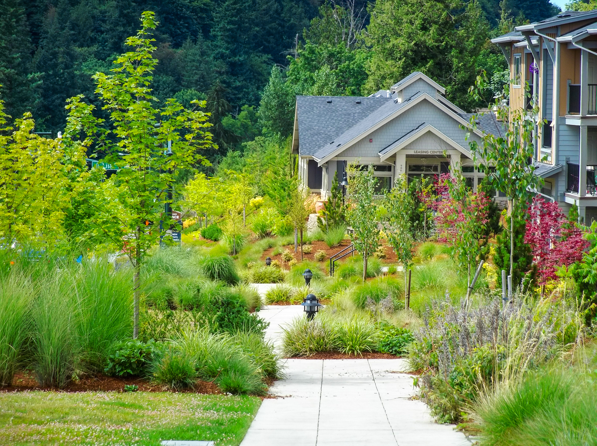 Landscape photo of the Issaquah Terrace Apartments in Washington