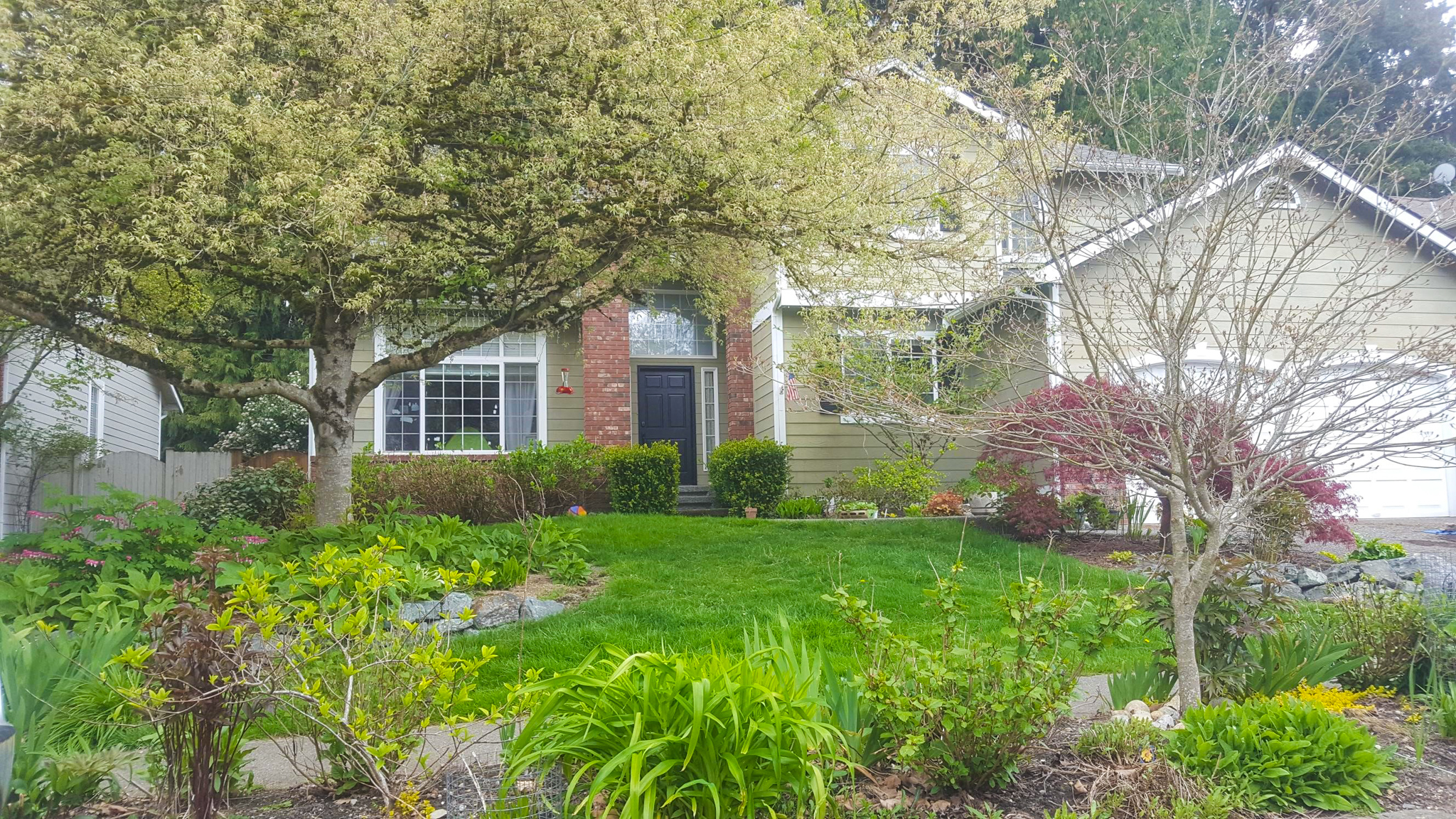 A beautifully landscaped front yard